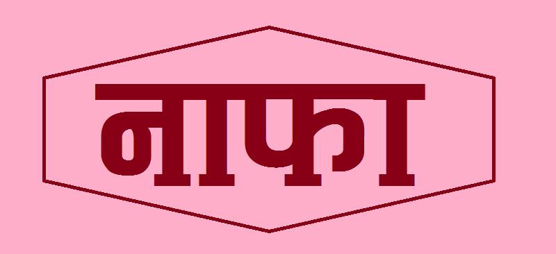 शुभम पावरले नौं महिनामा कमायो करिब ५१ करोड नाफा